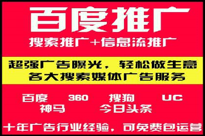 案例研究：如何通过竞价广告实现精准营销